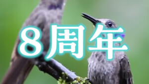 【シャニマス】8周年だからさ、なるよね、ハチドリ