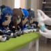 【シャニマス】わたしたち蒼組がぬいぐるみクリーニングされてるんだよー！