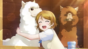 【スクスタ】URカード[もうかわいすぎるから、ぎゅ～]小泉花陽の性能評価、ステータス、特技、個性、カードイラストまとめ