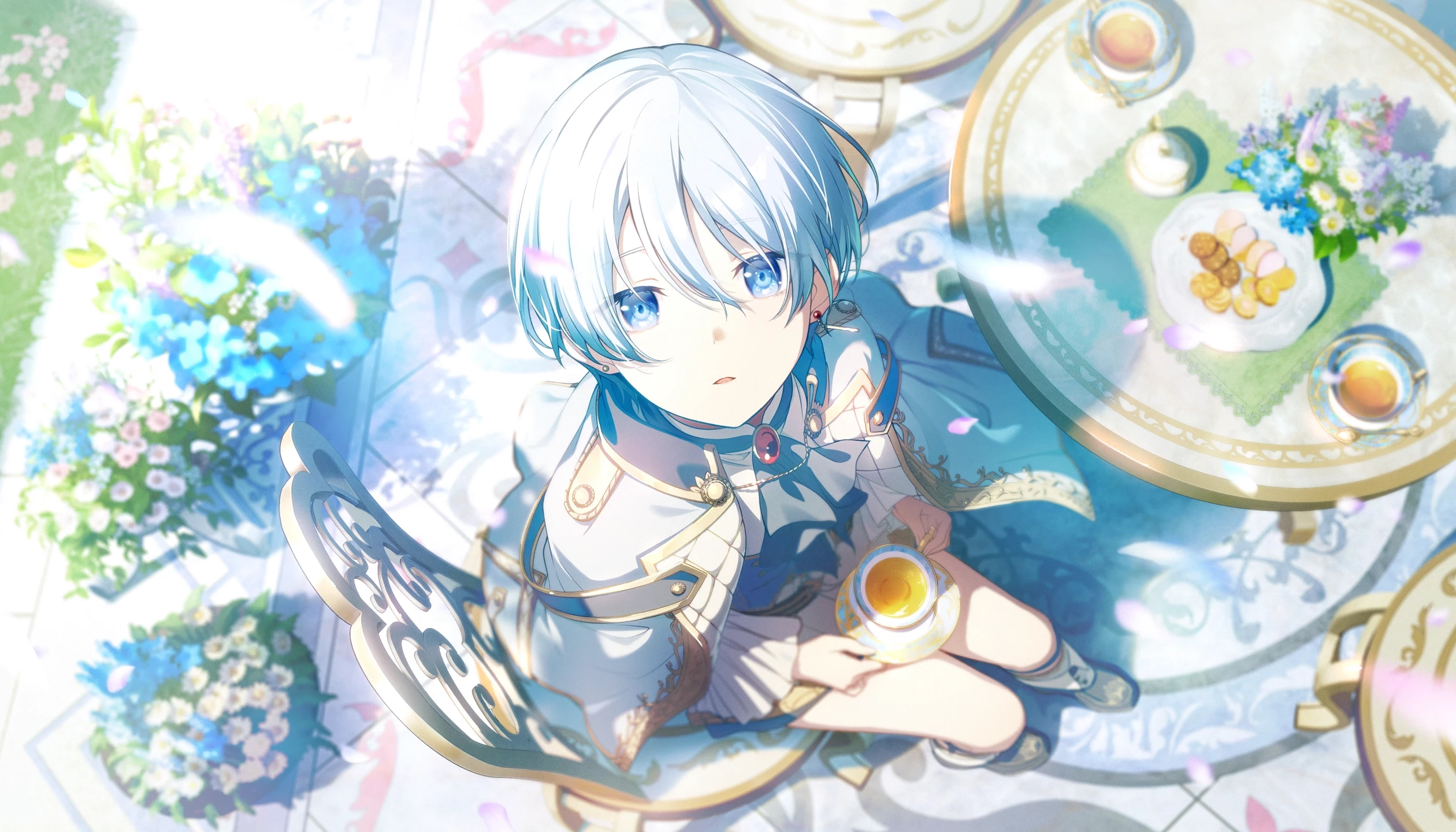 子実体の形状の比較を理解する